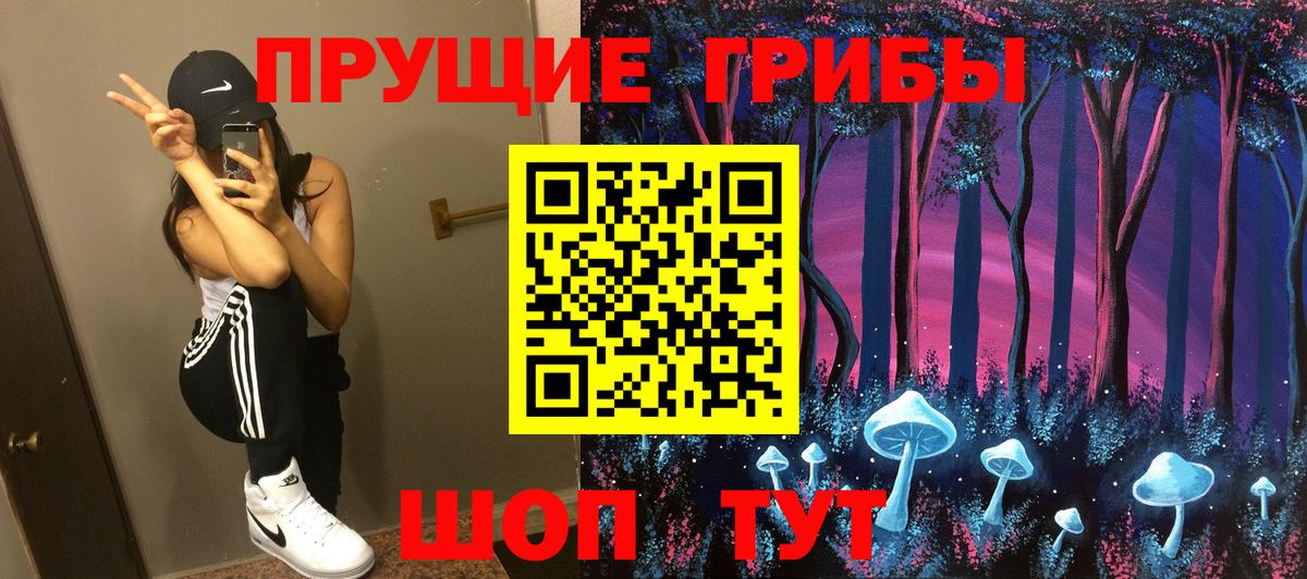 Псилоцибиновые грибы Psilocybine cubensis Лесозаводск