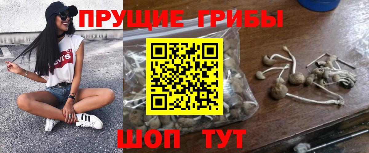 Кокаин Лесозаводск