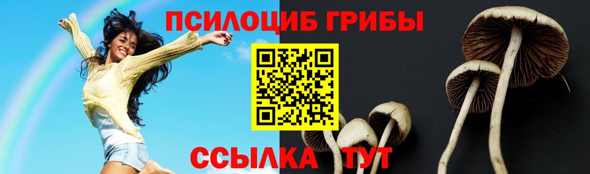 Псилоцибиновые грибы мицелий  Вход с VPN  цена   Лесозаводск 